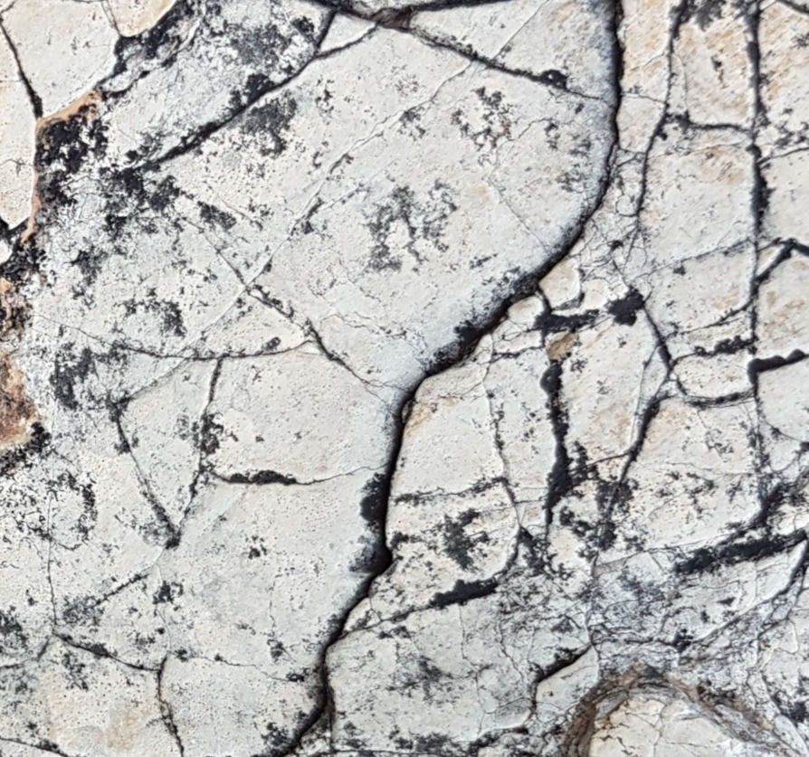 "The Emperor's Wardrobe", movement three, is now available