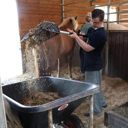 42749127-eurasburg-vaka-heimur-stefanie-stumpf-reittherapie-david-P673.jpg