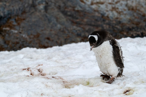 Hotels-Models14015 2_edit_new 2.jpg