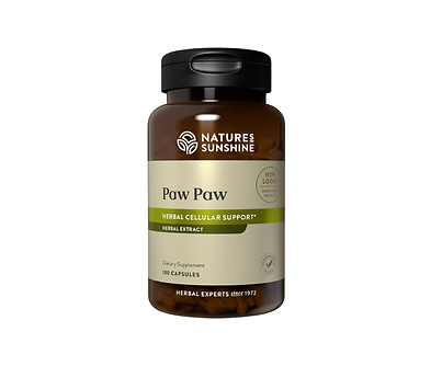 Paw Paw (1).png