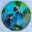 Thumbnail: Tui with ferns