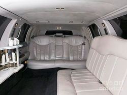 limousine interior detailing at Sparkling Star Detailing