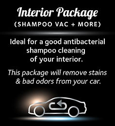 (Antibacterial Upholstery Extraction).jp