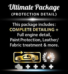 (Paint Protection + Engine Bay Detailing