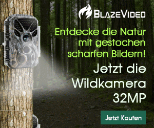 wrme, BlazeVideo Wildkamera 32MP – gestochen scharfe Naturbilder entdecken