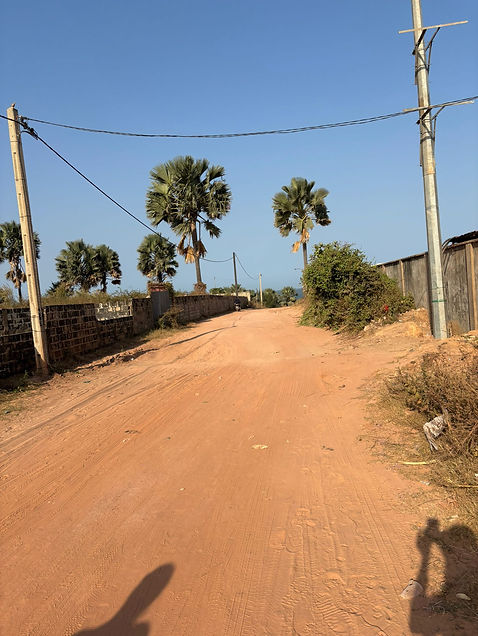 wrme, Unbefestigte Sandstraße mit Palmen und Strommasten in Gambia bei Sonnenschein.