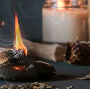 Guía de origen, ecología y propiedades del palo santo autentico para tu bienestar en casa