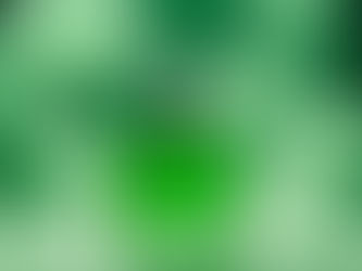 Can Perfume Go Bad? A Scent-sational Revelation