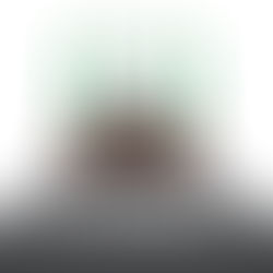 NOIPolls Governorship Pre-Election Poll March 2019