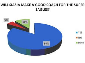 The New Super Eagles Coach