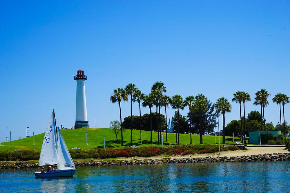 The IRS Safe Harbor Provision