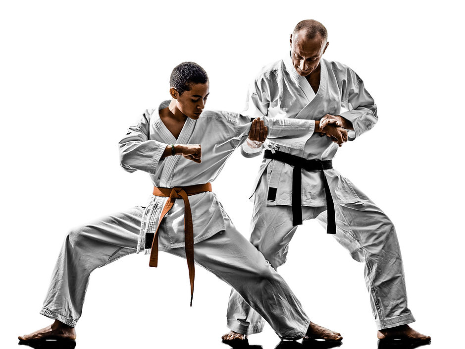martial arts instructor teaching a student