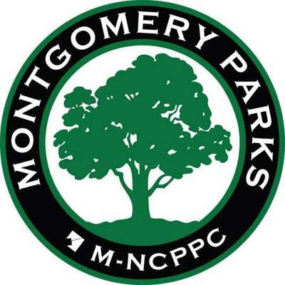 Montgomery.jpeg