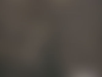 Validation through Oral History and Archaeology at the Choptico Town