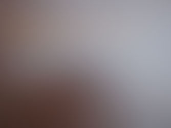 조선의용대 후원회에서 발행한 '의용보'(1940) 미주의 중한민중동맹단의 사업을 소개하고 있다