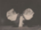 ree