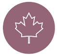 Maple icon_edited.png