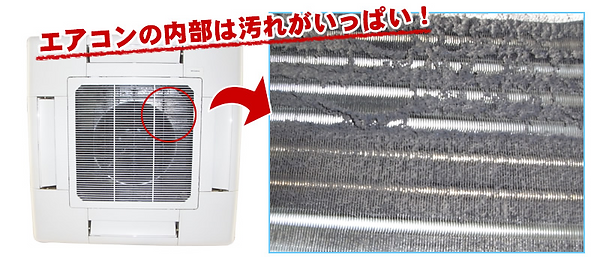 image2.png