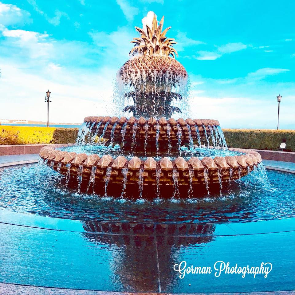 Pineapple Fountain