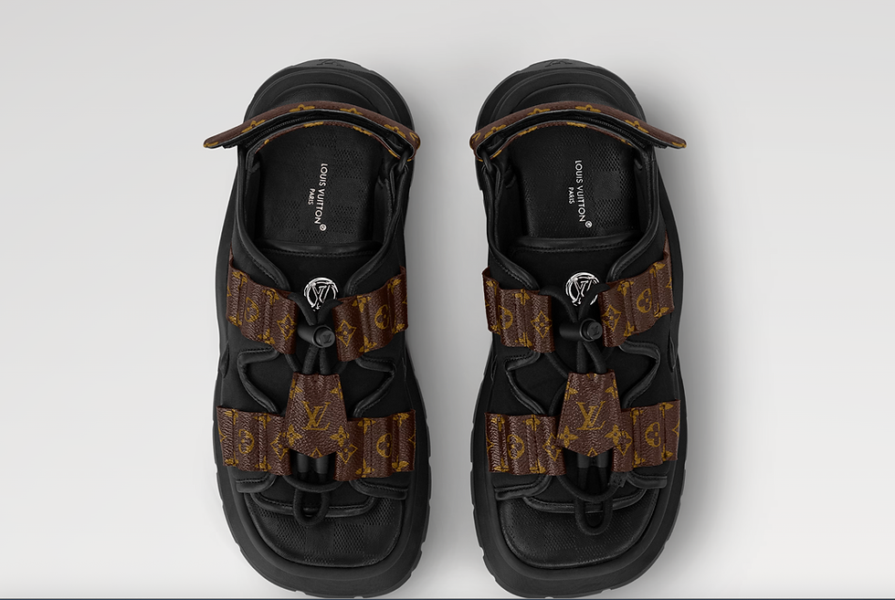Miniature : LOUIS VUITTON Sandales Chameleon comfort 39 NEUVES