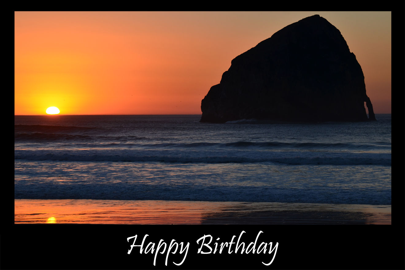 Must Have Variety Pack 1