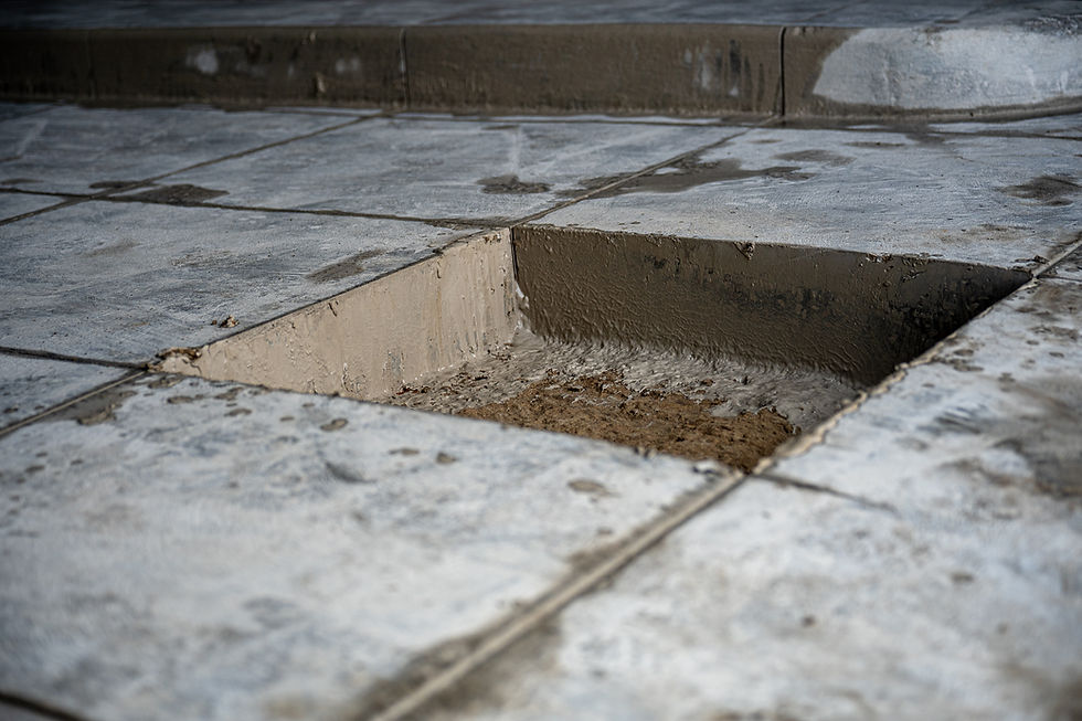 DSC_1976.jpg