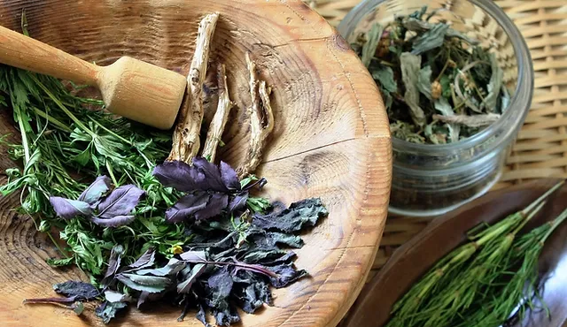 Rigenerazione Capelli Italia Diva Bio Parrucchiera