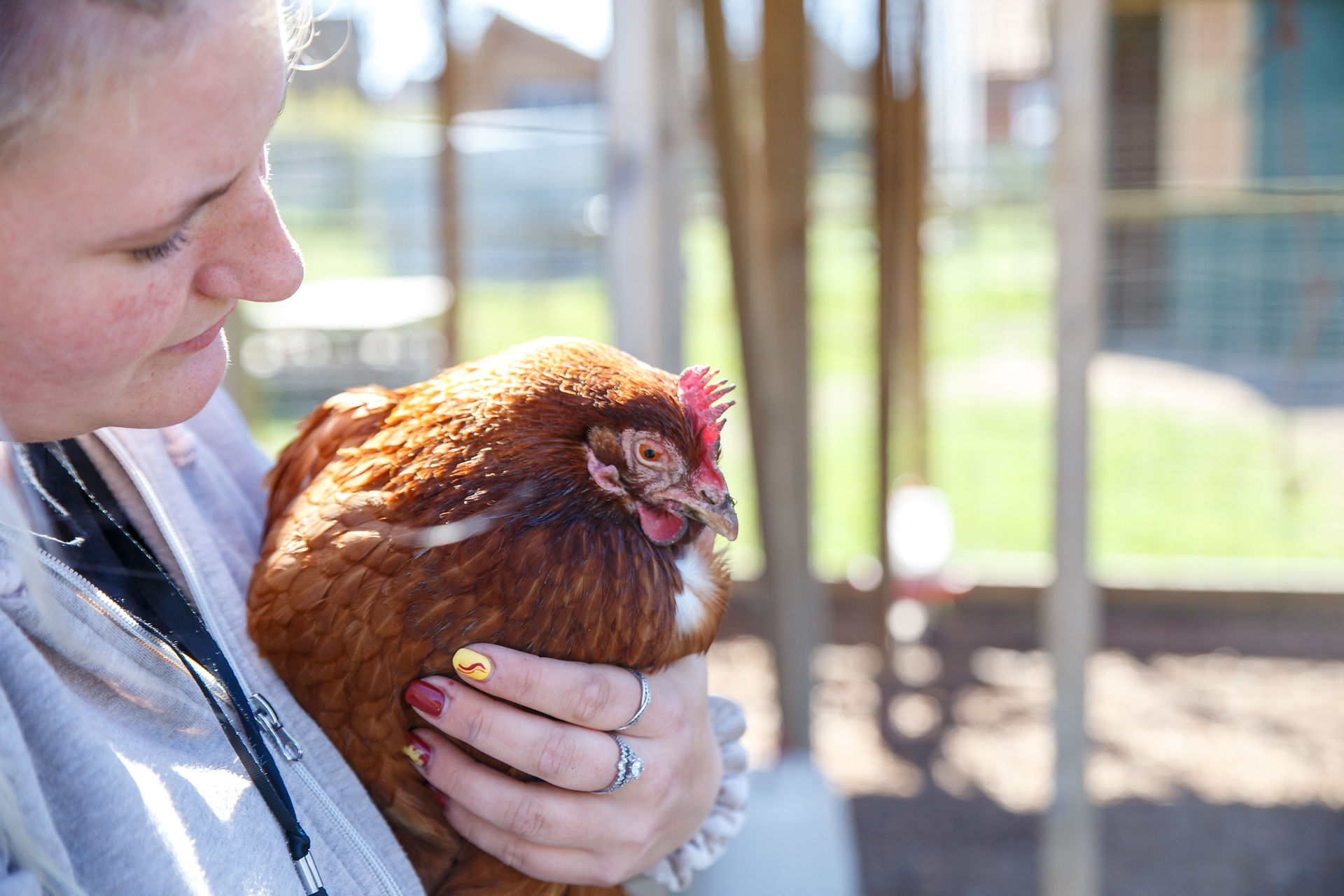 pathways chicken held by pathways member