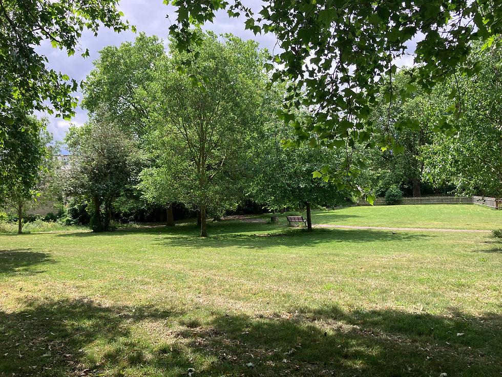 picture of Cambridge park lots of grass, trees and a bench visible.