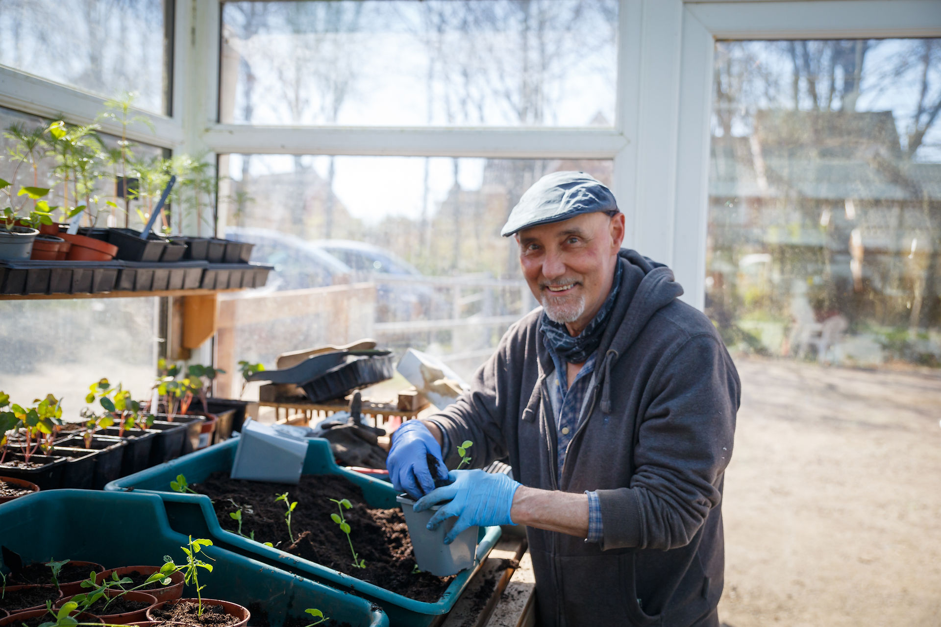 pathways member potting seedlings