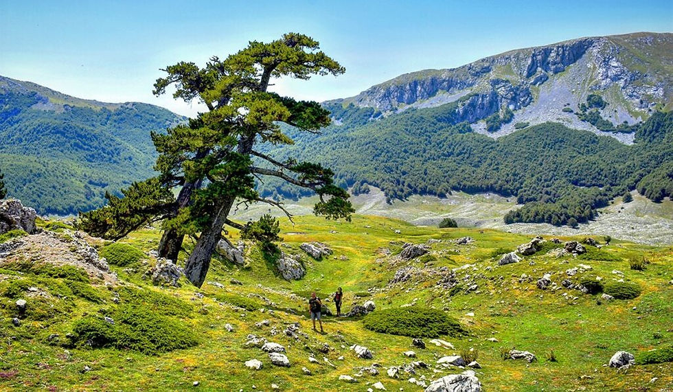 andrea-vacchiano-trekking-pollino-1024x597.jpg