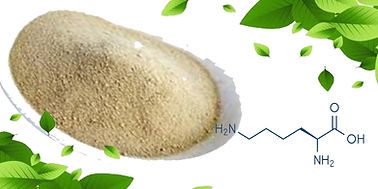 lysine copiar.jpg