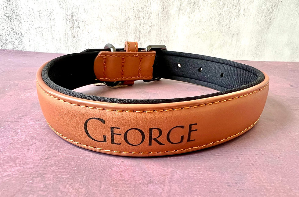 Personalized Leather Pet Collar