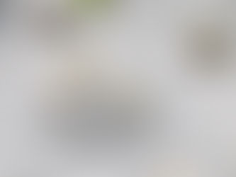 Sometimes you just couldn’t make it up