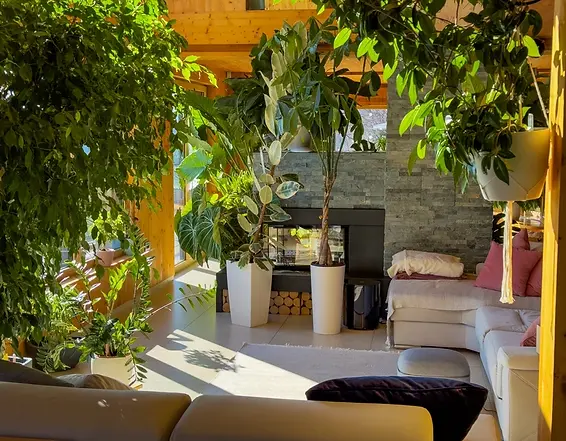 Reisabuild home 6.webp