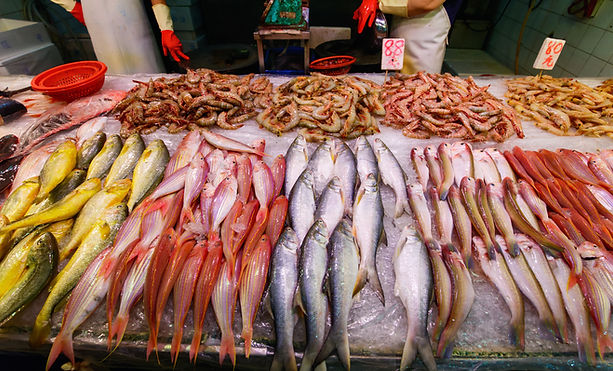 魚のストール