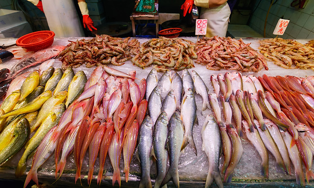 魚のストール