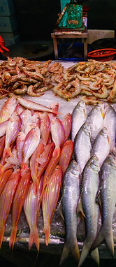 Stall Pesce