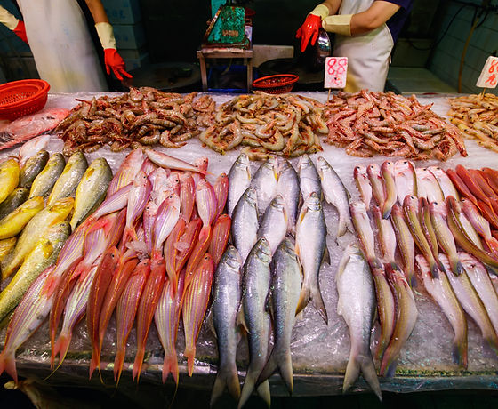 Fish Stall