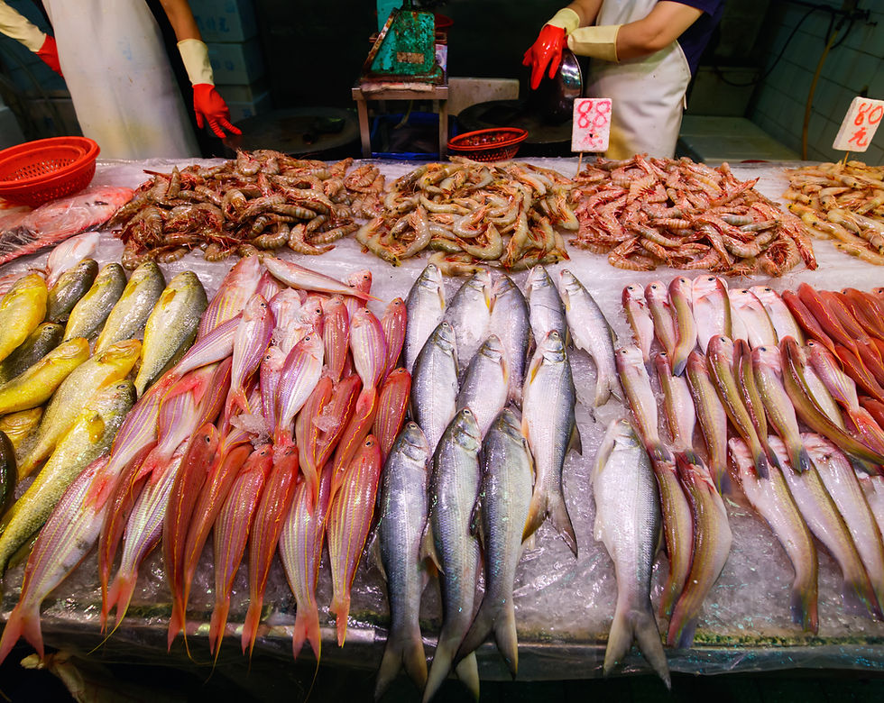Fish Stall