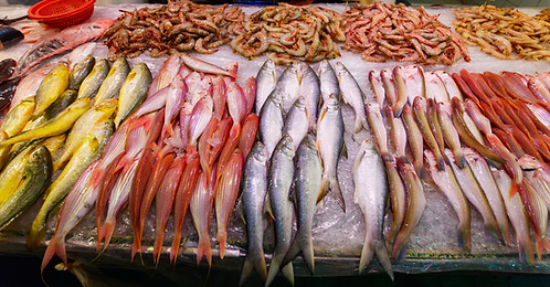 魚のストール