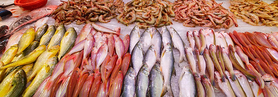 Fish Stall