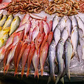 Fish Stall