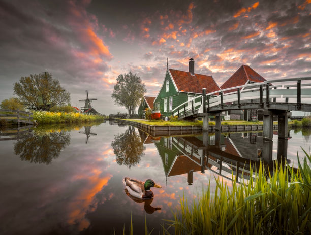 Hollanda