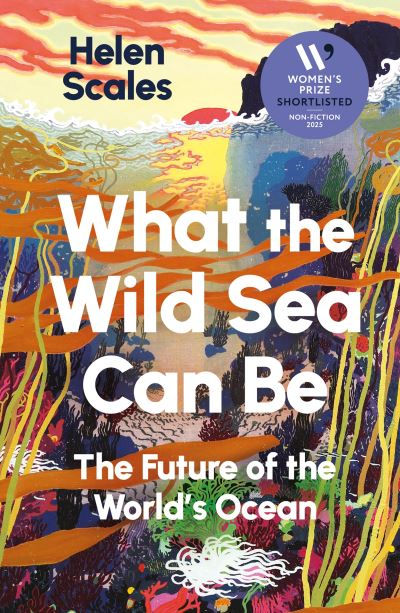What the wild sea can be