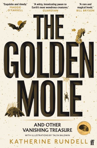 The golden mole