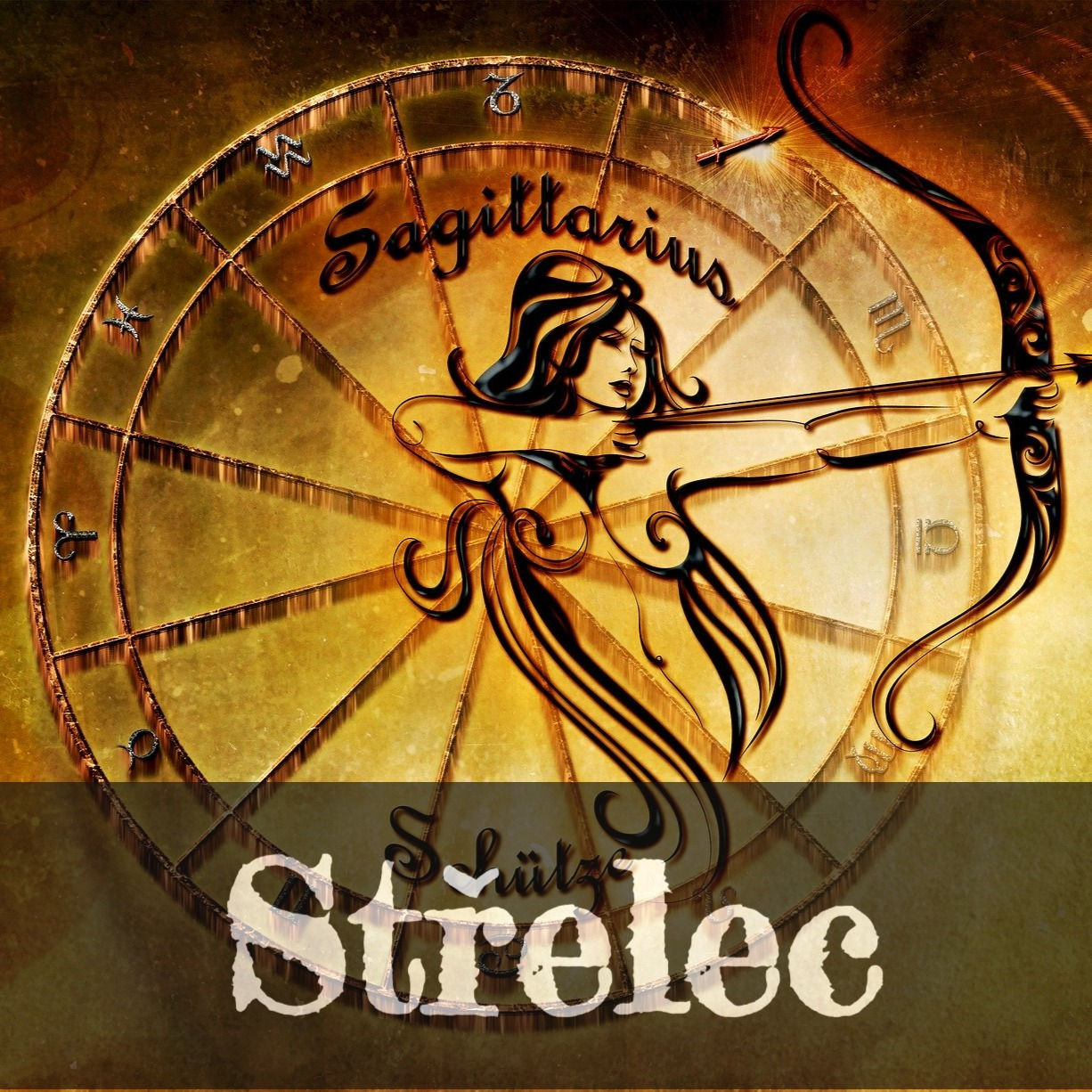 STŘELEC | audiozáznam přednášky Marka Ščotky