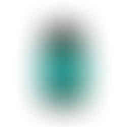 bote de pastillas de Omega 3 con etiqueta de color verde dando vueltas