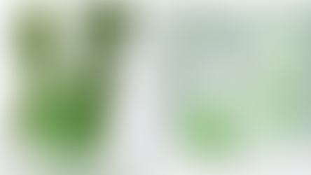 a la derecha, serum détox verde de la marca Annaïs. En el fondo hay un ramillete de hojas verdes. A la izquierda tres botes verdes que forman una rutina facial completa sobre una mesa blanca y un fondo verde con sombras de hojas.