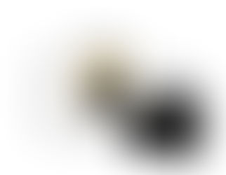 雙迴路電源控制器Double Switch 2